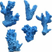 Coral Set 1 by First Impressions Molds  (S130)