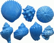 Shell Set 10 by First Impressions Molds  (S192)