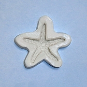 Sea Star Mold II (NM-131) by Sunflower Sugar Art