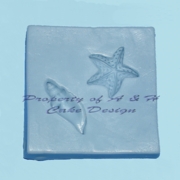 Sea Star & Sea Shell Set (M-075) by Sunflower Sugar Art 