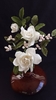 Sugar Flowers by Shaile