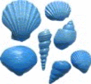 Shell Set 8 by First Impressions Molds  (S190)