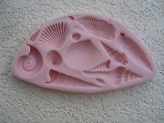 Shells I Mold (NM-127) by Sunflower Sugar Art