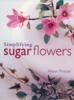 Simplifying Sugar Flowers by Alison Procter