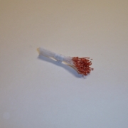 Sparkle Spider Silk Stamens, Copper Tips & White Stems