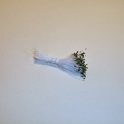 Sparkle Spider Silk Stamens, Dark Green Tips & White Stems