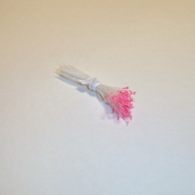 Sparkle Spider Silk Stamens, Fluorescent Pink Tips & White Stems