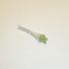 Sparkle Spider Silk Stamens, Light GreenTips & White Stems
