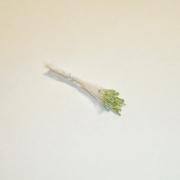 Sparkle Spider Silk Stamens, Light GreenTips & White Stems