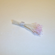 Sparkle Spider Silk Stamens, Light Pink Tips & White Stems