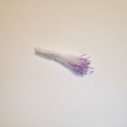Sparkle Spider Silk Stamens, Lilac Tips & White Stems