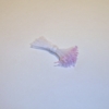 Sparkle Spider Silk Stamens, Medium Pink Tips & White Stems