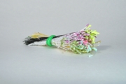 Sparkle Spider Silk Stamens, Multi Colored Tips & Multi Colored Stems