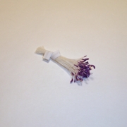 Sparkle Spider Silk Stamens, Purple Tips & White Stems