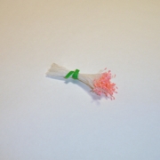 Sparkle Spider Silk Stamens, Salmon Tips & White Stems