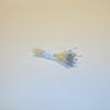 Sparkle Spider Silk Stamens, Silver Tips & Cream Stems