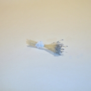 Sparkle Spider Silk Stamens, Silver Tips & Cream Stems