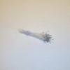 Sparkle Spider Silk Stamens, Silver Tips & White Stems