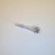 Sparkle Spider Silk Stamens, Silver Tips & White Stems