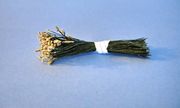 Spider Silk Dark Green Stamens w/ Gold Tips