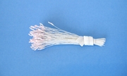 Spider Silk White Stamen w/ Pink Tip