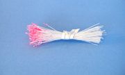 Spider Silk White Stamen with Bright Pink Sparkle Tips