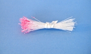 Spider Silk White Stamen with Bright Pink Sparkle Tips