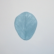 Tulip Veiner (F-004) by Sunflower Sugar Art 