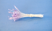 White Farie Stamen w/ Purple Tips