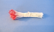White Farie Stamen with Red Tips