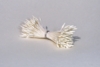 White Medium Pointed Stamen