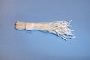 White Stamen w/ White Tip