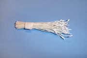 White Stamen w/ White Tip
