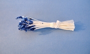 White Twinkle Stamens w/ Electric Blue Tips