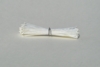 White Very Tiny Round Dull Head Stamen