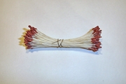 White w/ Brown Tip Stamens