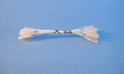 White w/ Glass Tip Stamens