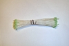White w/ Green Tip Stamens