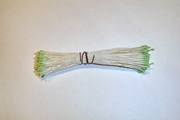 White w/ Green Tip Stamens