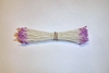White w/ Lavender Tip Stamens