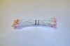 White w/ Salmon Tip Stamens