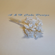 WhiteTips & White Stem Bobble Stamens