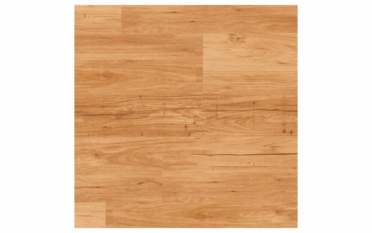 LooseLay Tasmanian Wattle