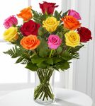 1 Dozen Long Stem Mixed Roses