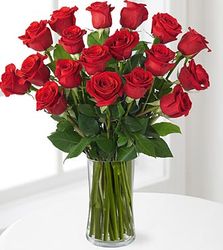1 Dozen Long Stem Red Rose Bouquet