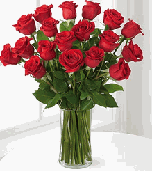 1 Dozen Long Stem Red Rose Bouquet