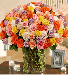 100 Premium Long Stem Multicolored Roses 