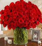 100 Premium Long Stem Red Roses