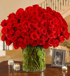 100 Premium Red Roses in a Vase 
