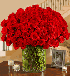 100 Premium Red Roses in a Vase 